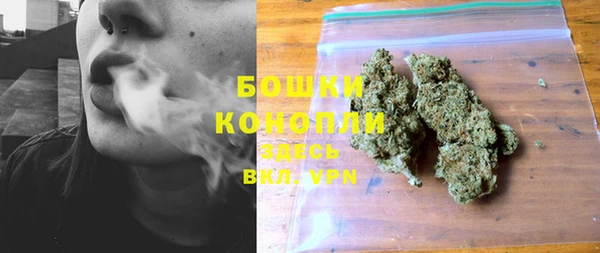 прущие грибы Липки