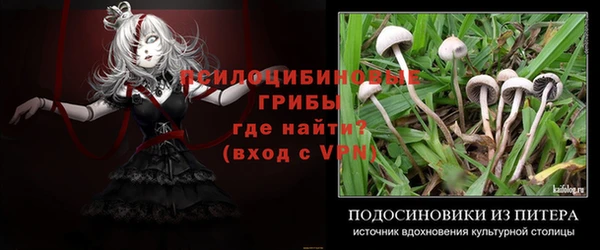 прущие грибы Липки