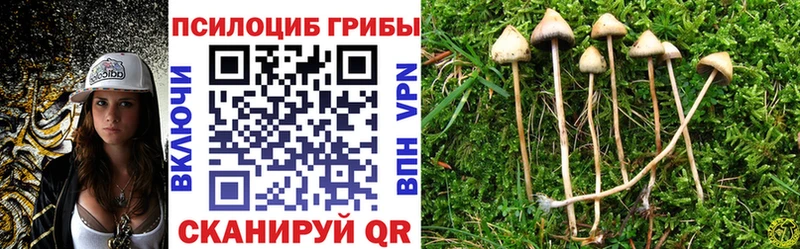 даркнет сайт  Урюпинск  Псилоцибиновые грибы мицелий 