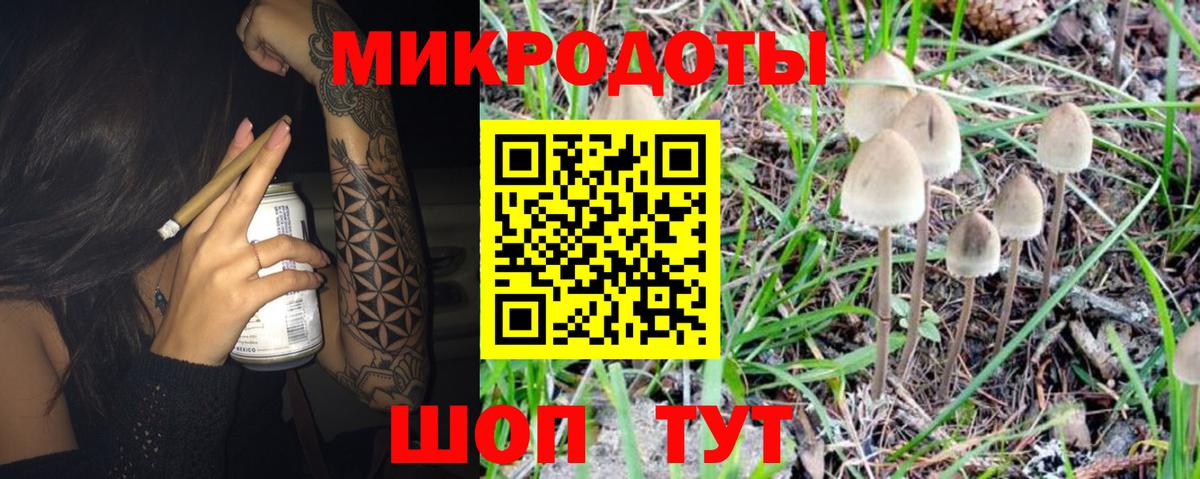 Псилоцибиновые грибы MAGIC MUSHROOMS  Вход с VPN  Урюпинск 